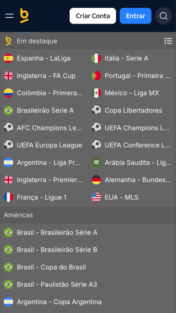 captura de tela da variedade de campeonatos de futebol na Betnacional