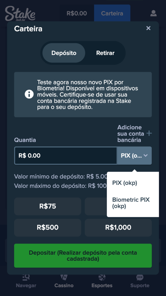 captura de tela do depósito stake