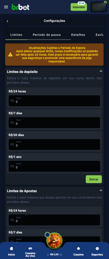 captura de tela das ferramentas de jogo responsável da BRBET