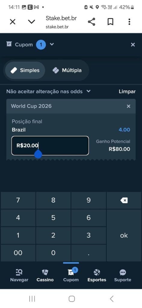 captura de tela de um cupom de apostas na Stake para a Copa do Mundo