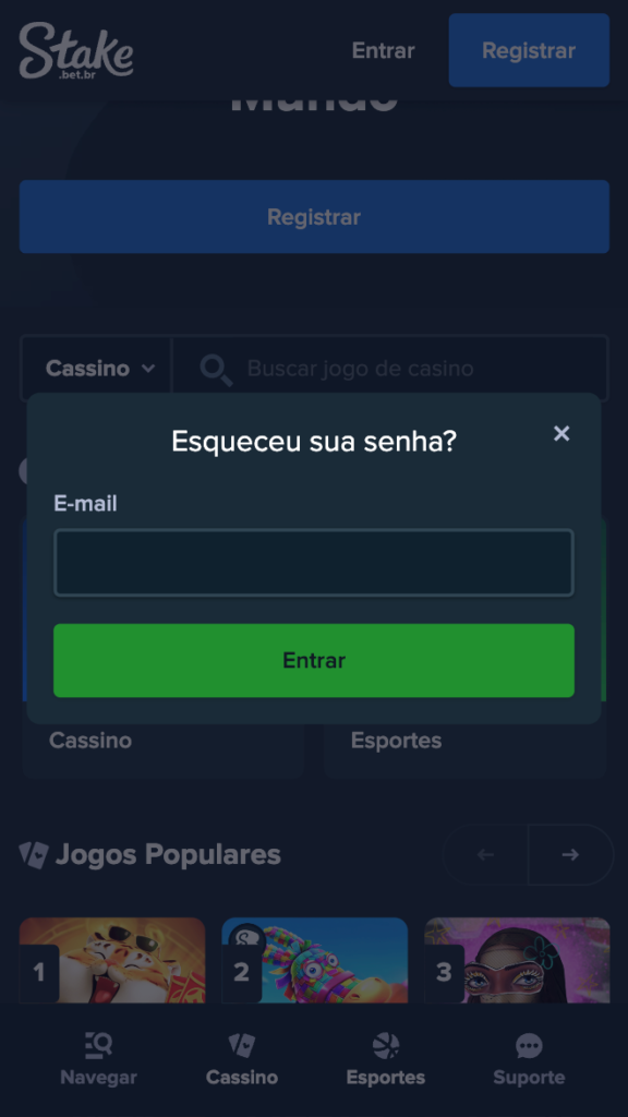 captura de tela de como recuperar senha na Stake