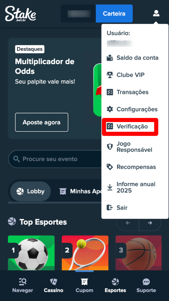 captura de tela ensinando como verificar a conta na Stake