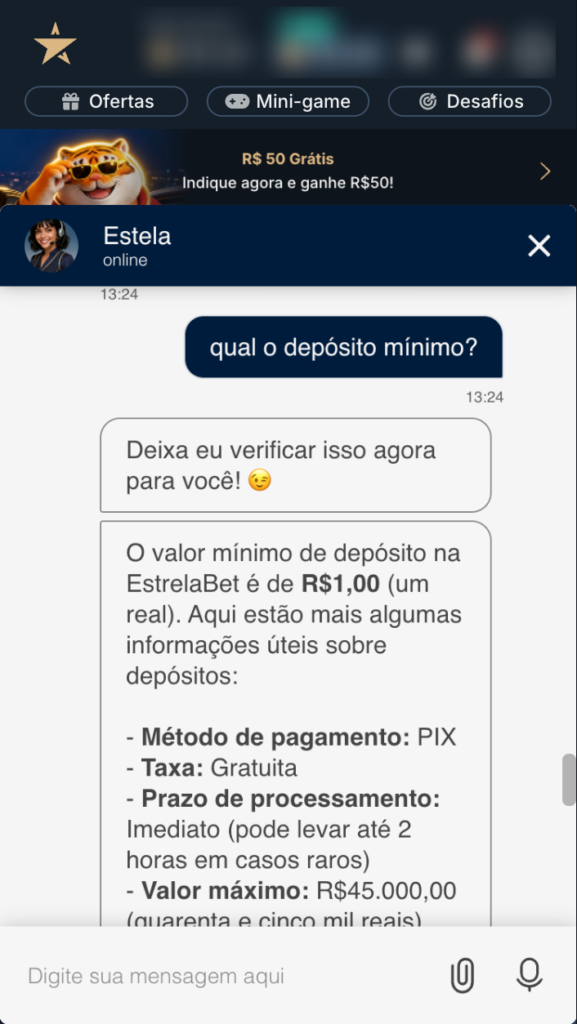 captura de tela do chat estrela bet